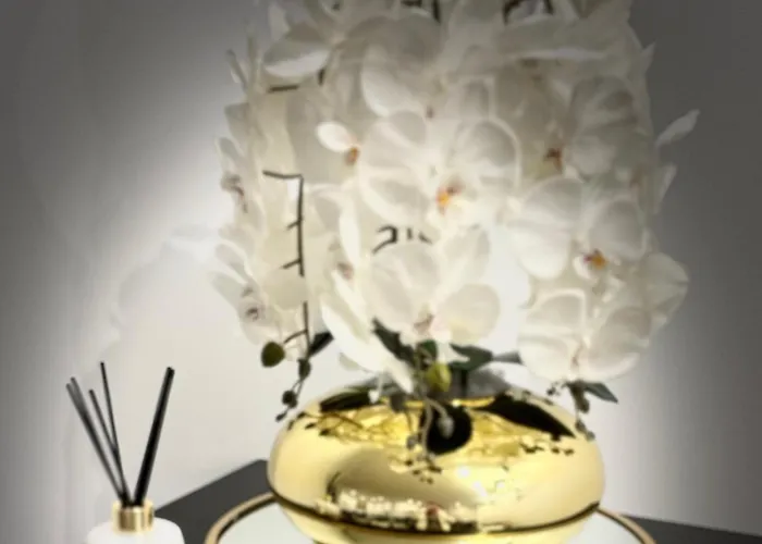 Riviera Opera Cadet Париж