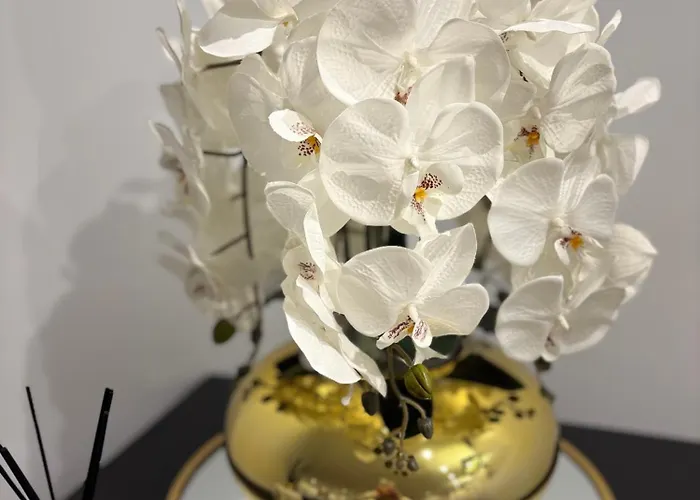 Отель Riviera Opera Cadet Париж