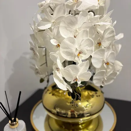 ホテル Riviera Opera Cadet パリ